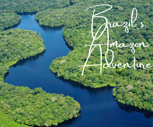 Amazon Rainforest Adventures: Exploring Brazil's Largest Jungle