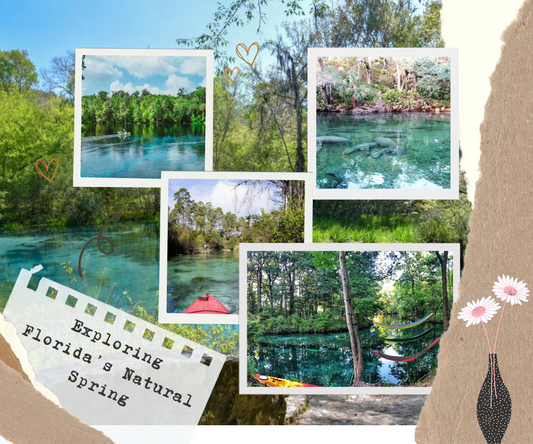 Exploring Florida’s Natural Springs: A Hidden Paradise
