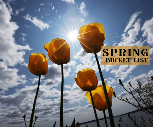 Spring Bucket List: Must-Do Activities to Welcome the Season