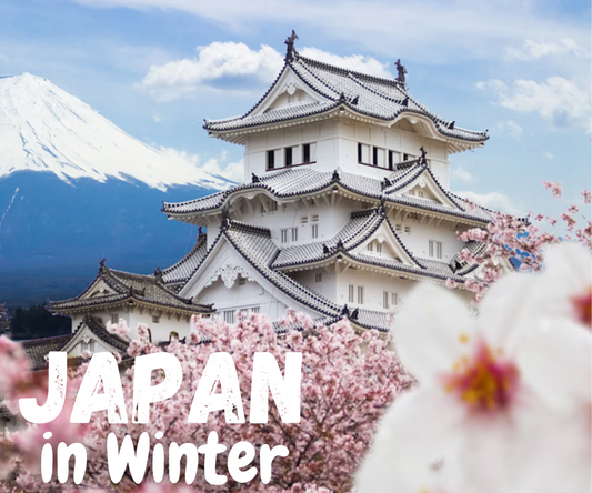 Discover the Magic of Japan in Winter